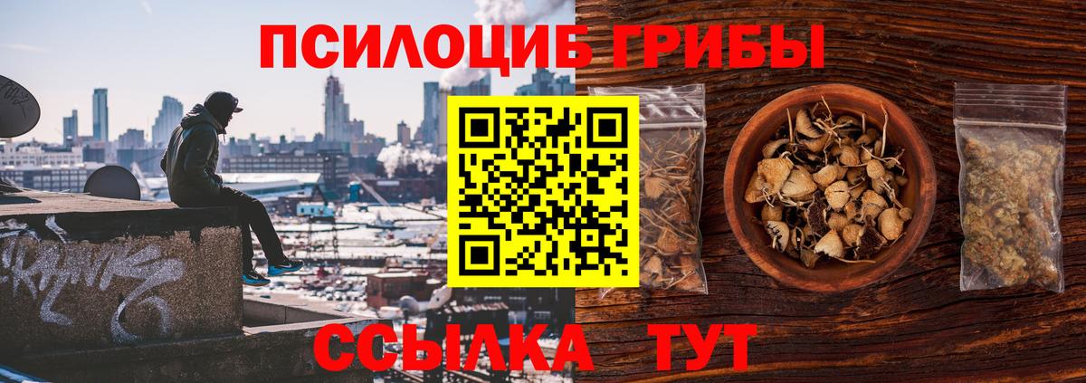 где купить наркотик  Вход с VPN  Луга  Галлюциногенные грибы мицелий 