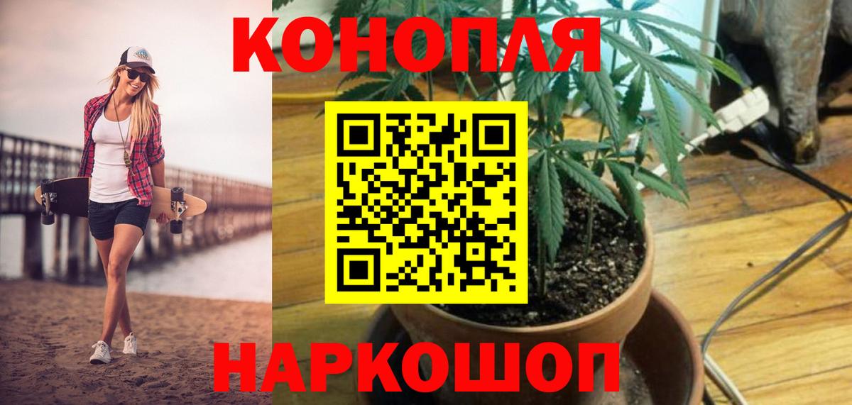 Конопля THC 21%  Вход с VPN  Конопля планчик  Луга  Каннабис сатива 